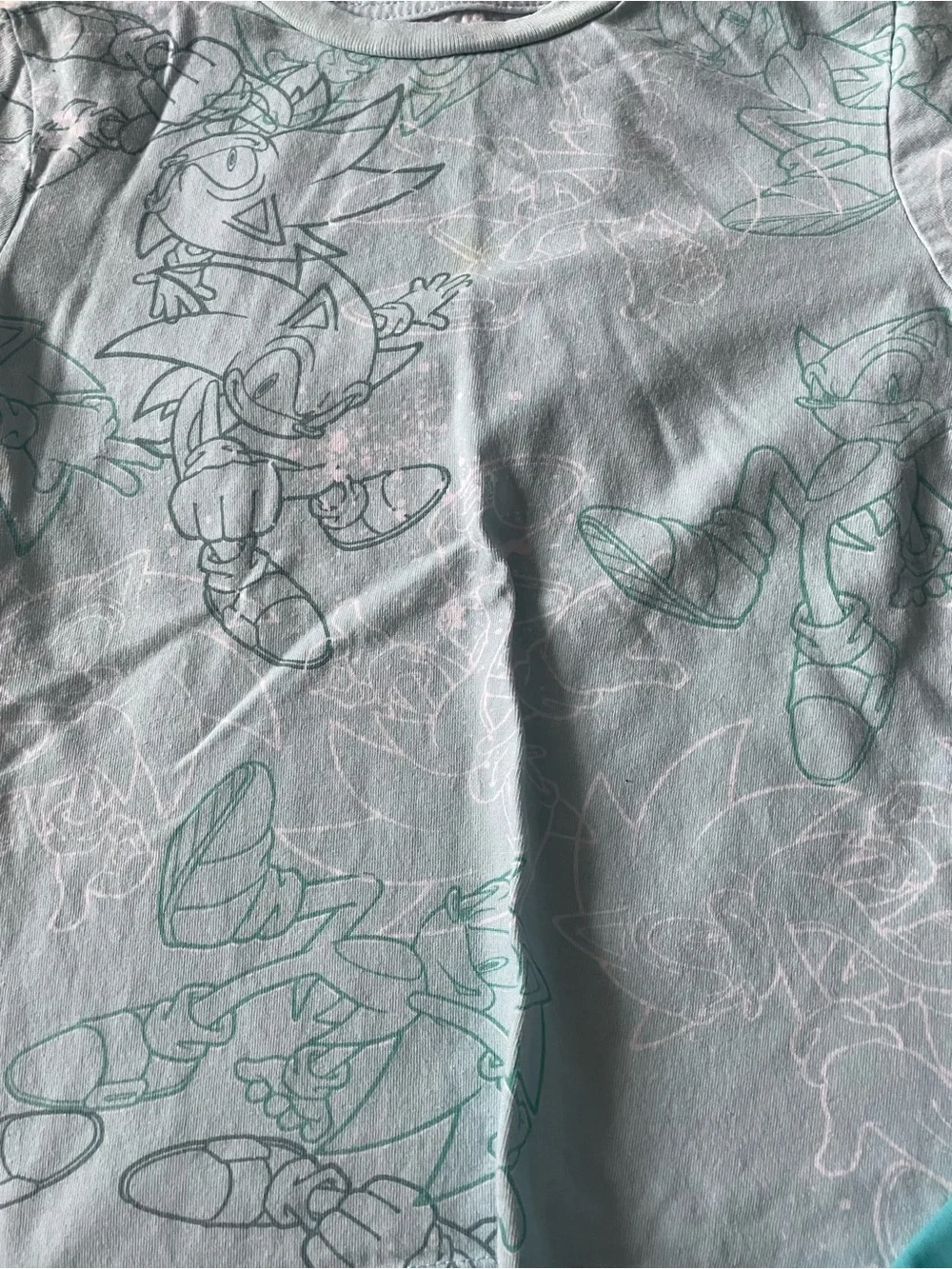 Sonic The Hedgehog sonic hedgehog